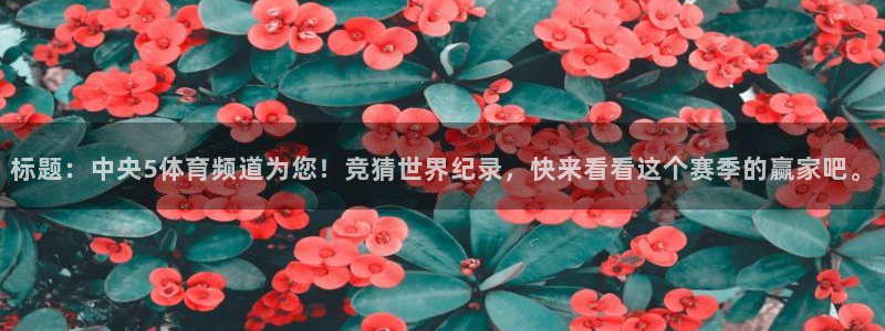 标题：中央5体育频道为您！竞猜世界纪录，快来看看这个赛季的赢家吧。
