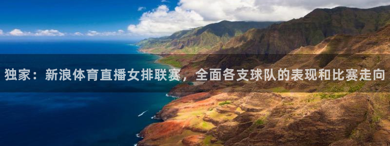 独家：新浪体育直播女排联赛，全面各支球队的表现和比赛走向