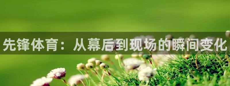 先锋体育：从幕后到现场的瞬间变化