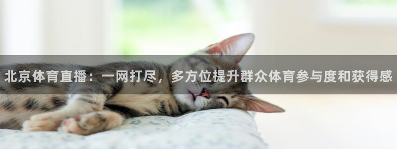 北京体育直播：一网打尽，多方位提升群众体育参与度和获得感