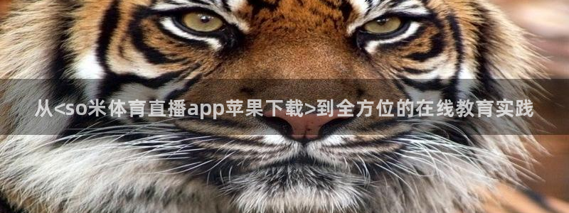 从<so米体育直播app苹果下载>到全方位的在线教育实践