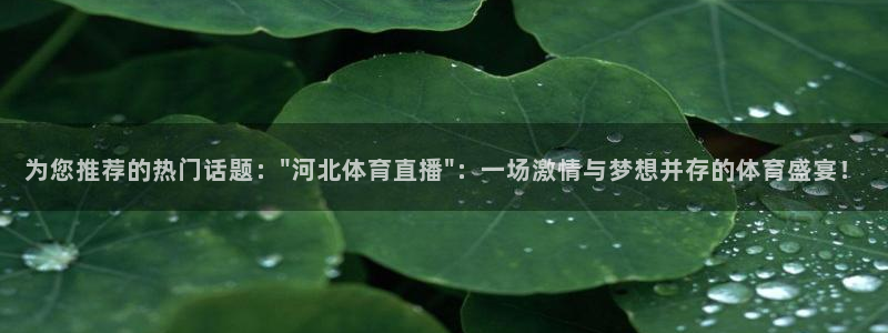 为您推荐的热门话题：\