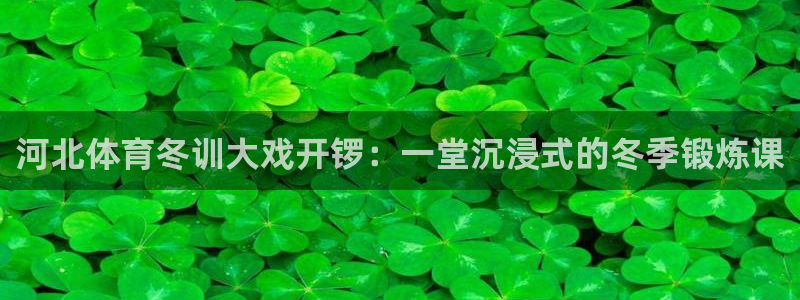 河北体育冬训大戏开锣：一堂沉浸式的冬季锻炼课