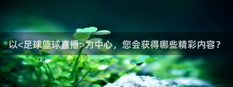 以<足球篮球直播>为中心，您会获得哪些精彩内容？