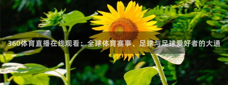 360体育直播在线观看：全球体育赛事、足球与足球爱好者的大通