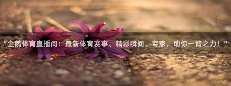 “企鹅体育直播间：最新体育赛事、精彩瞬间、专家，助你一臂之力！”