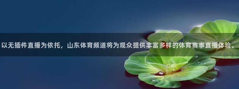 以无插件直播为依托，山东体育频道将为观众提供丰富多样的体育赛事直播体验。