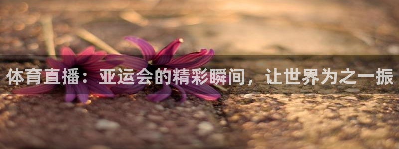 体育直播：亚运会的精彩瞬间，让世界为之一振