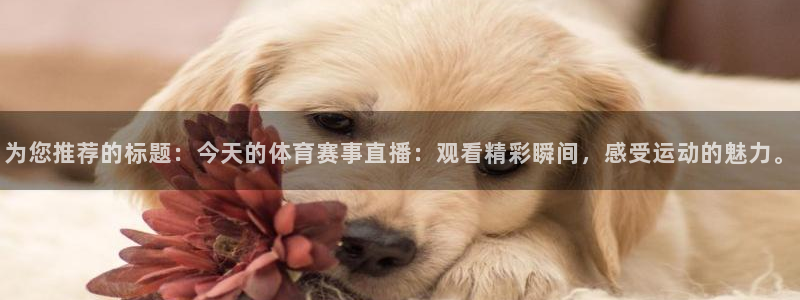 为您推荐的标题：今天的体育赛事直播：观看精彩瞬间，感受运动的魅力。