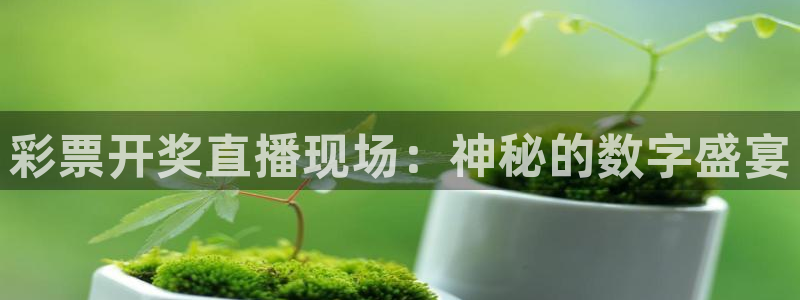 彩票开奖直播现场：神秘的数字盛宴
