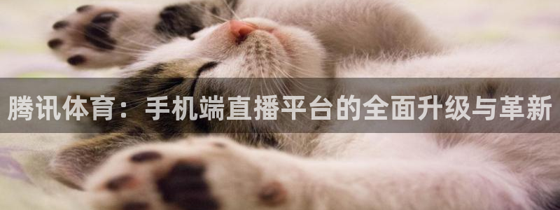 腾讯体育：手机端直播平台的全面升级与革新