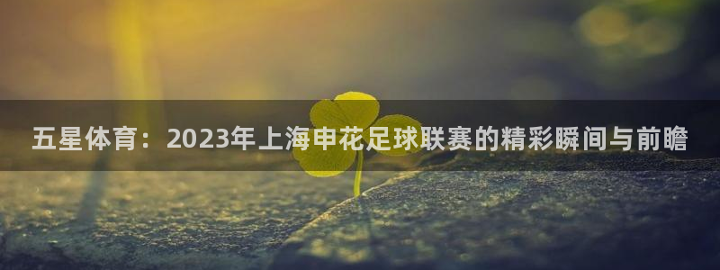 五星体育：2023年上海申花足球联赛的精彩瞬间与前瞻