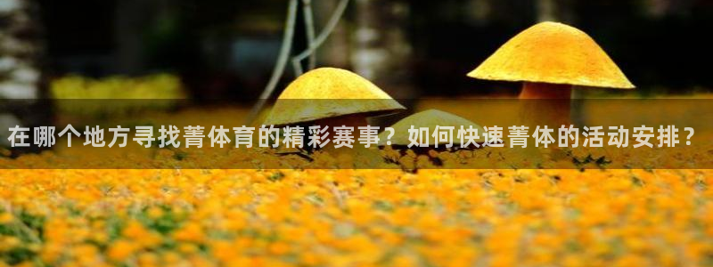 在哪个地方寻找菁体育的精彩赛事？如何快速菁体的活动安排？