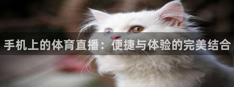 手机上的体育直播：便捷与体验的完美结合