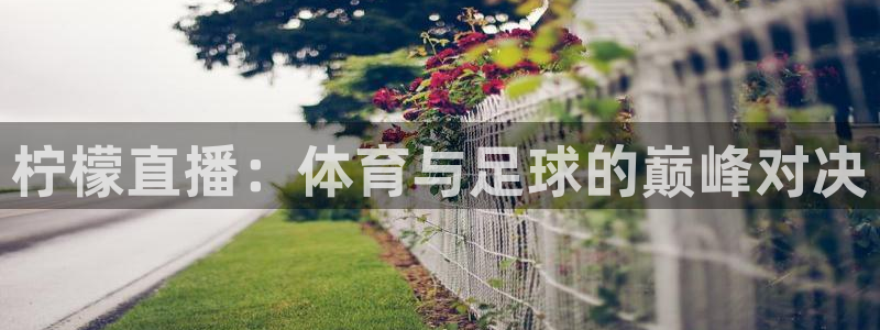 柠檬直播：体育与足球的巅峰对决