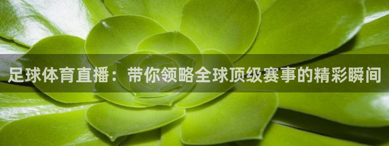 足球体育直播：带你领略全球顶级赛事的精彩瞬间