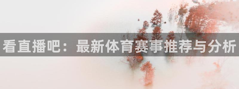 看直播吧：最新体育赛事推荐与分析
