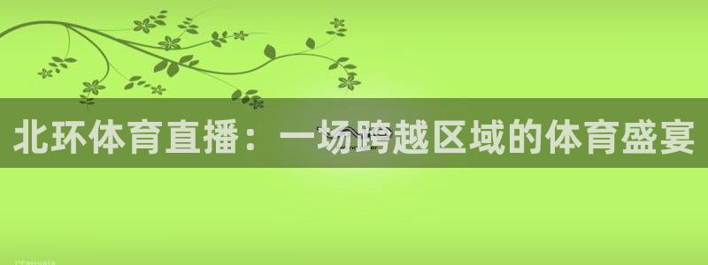 北环体育直播：一场跨越区域的体育盛宴