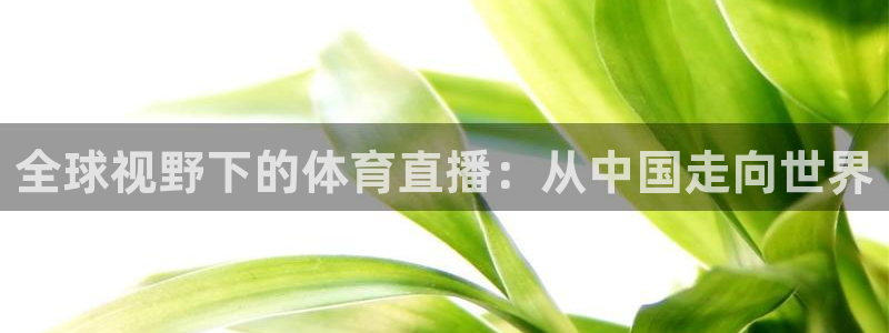 全球视野下的体育直播：从中国走向世界