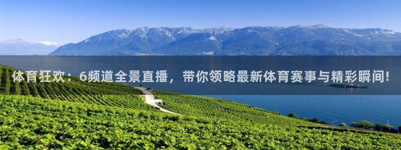体育狂欢：6频道全景直播，带你领略最新体育赛事与精彩瞬间!