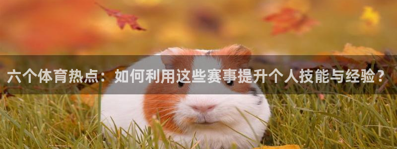 六个体育热点：如何利用这些赛事提升个人技能与经验？