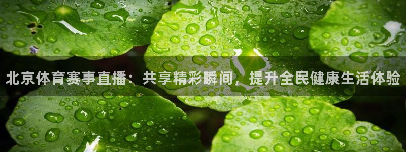 北京体育赛事直播：共享精彩瞬间，提升全民健康生活体验